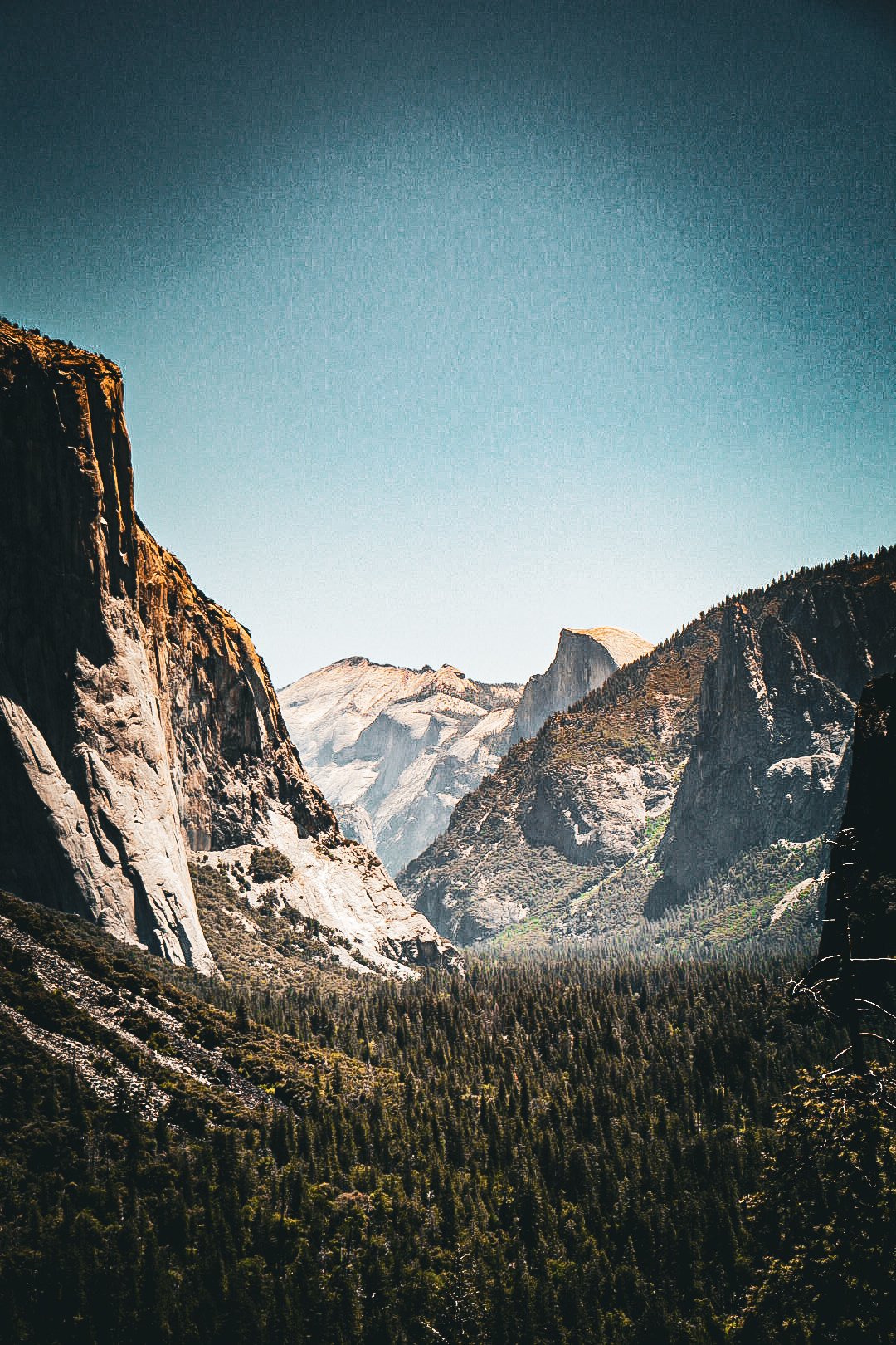 Photo by Harris Campbell